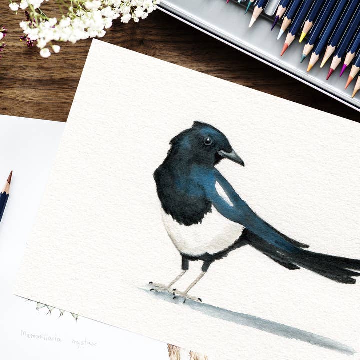 Kelli McNichols Art - Wholesale Everyday Greeting Card - Magpie Bird1