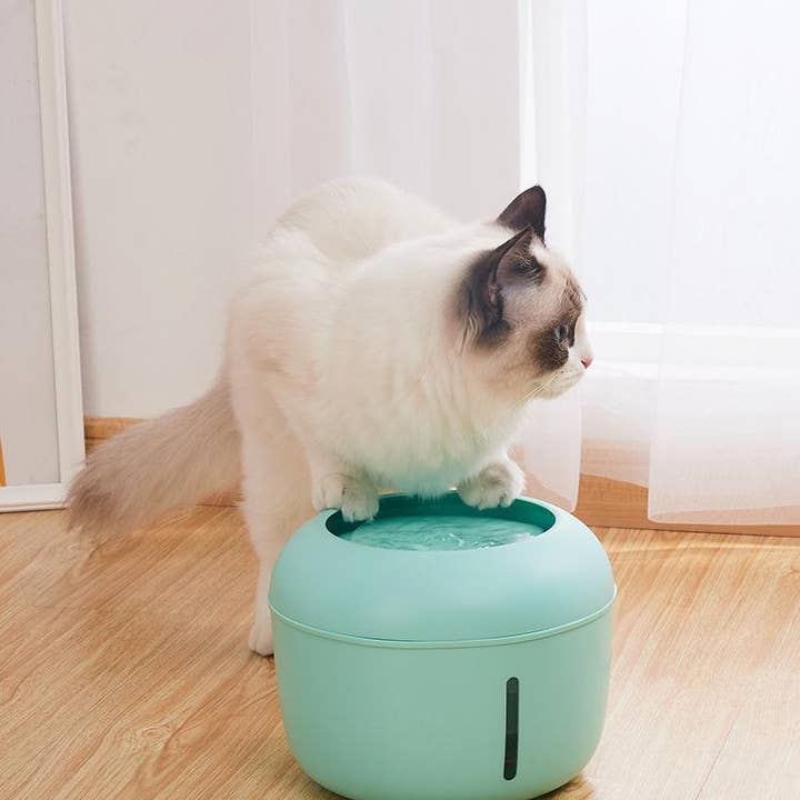 Pet Life - Wholesale Drinkbak - Kat/Hond - Pet Life Moda-Pure ultra-stille drinkfontein voor honden en katten11