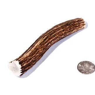 Small Elk Antler Dog Chew for wholesale by Summit Antler Chews