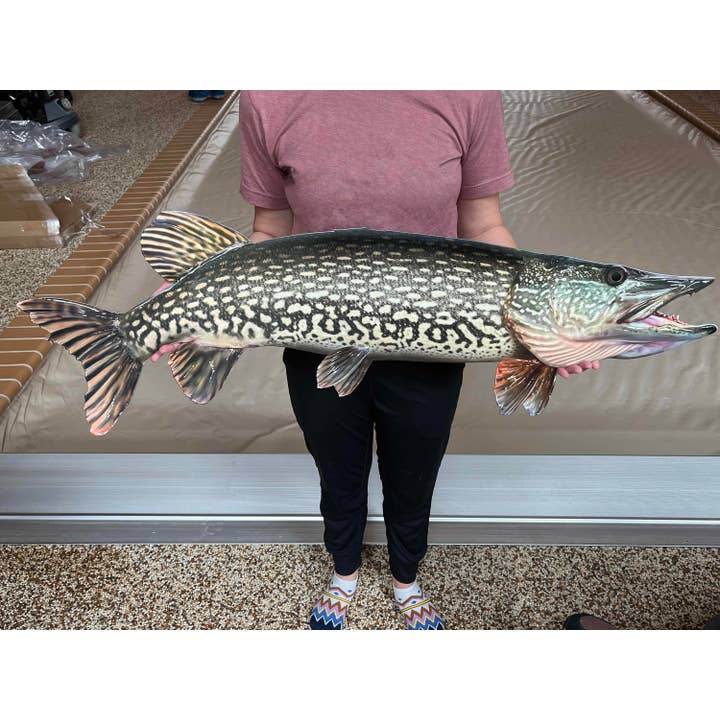 Reelistic Replicas - Wholesale Wall Accent - Northern Pike Replica - Metal, Realistic Northern Replica