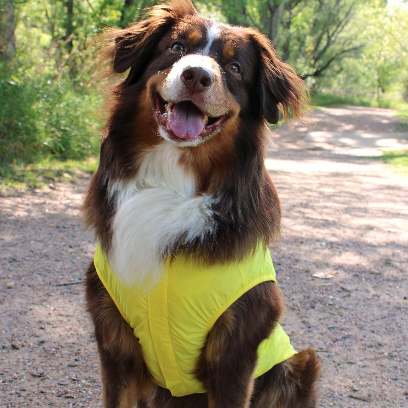 Doggie Design - Wholesale Pet Raincoat - Dog - Packable Raincoat - Yellow4