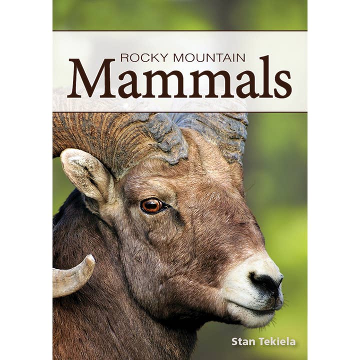 Mammals of Rocky Mountains Playing Cards for wholesale by AdventureKEEN
