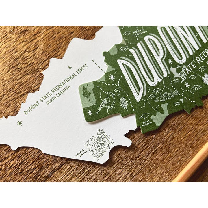 Noteworthy Paper & Press - Wholesale Postcard - Dupont State Forest Postcard4