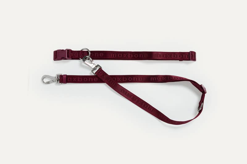 maxbone - Wholesale Pet Leash - Dog - GO! With Ease Hands-Free Leash for Dogs14