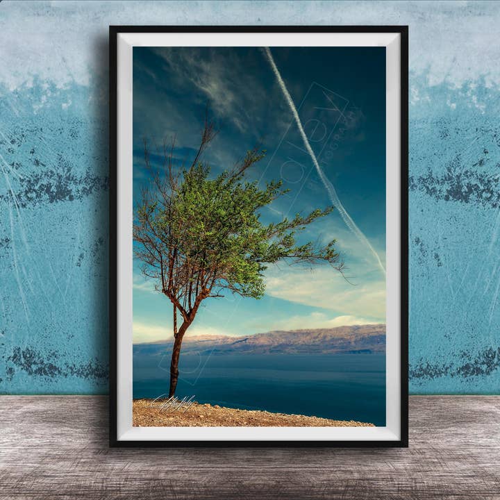 Landscape Print - Solitary Acacia Tree - Dead Sea for wholesale by Clifton Haley Photography