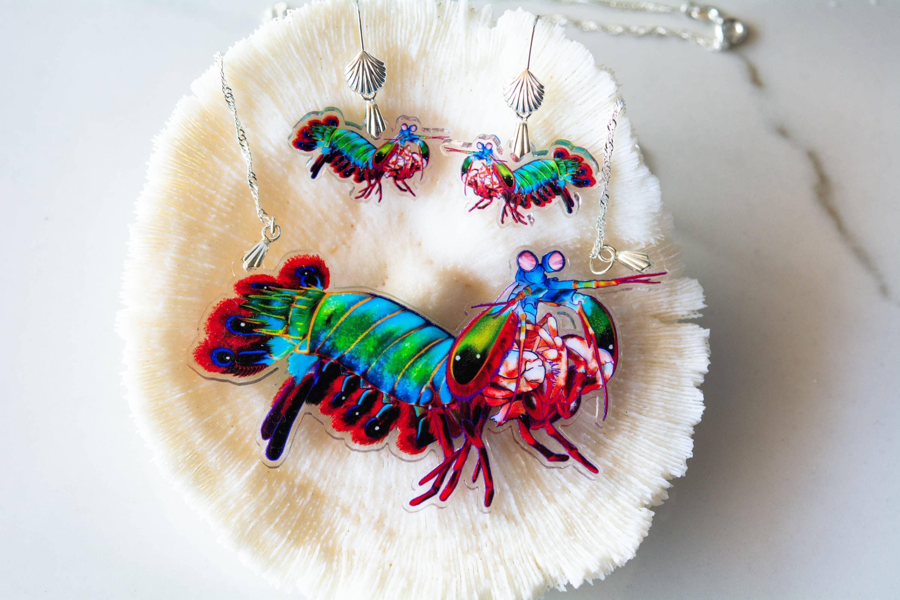 The Slug And Kraken - Wholesale Dangle Earrings - RECYCLED- Peacock mantis shrimp Statement Earrings, Necklace5