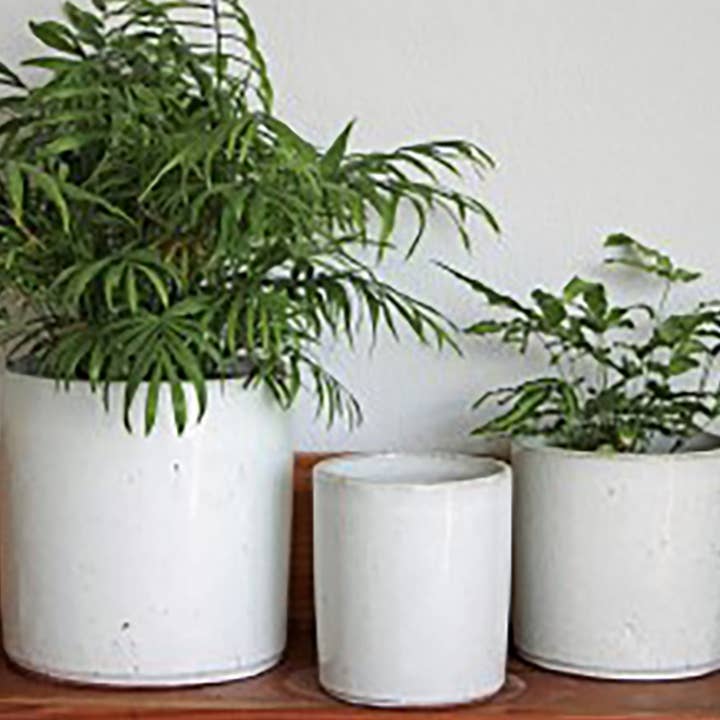 Begonia Planter White Spot Set Of 3 Various Sizes for wholesale by Pacific Home & Garden