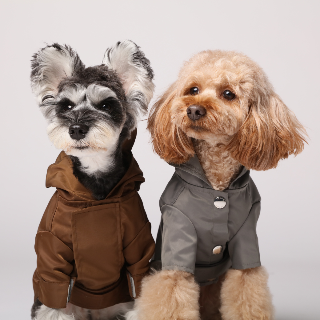 PEHOM - Vendita all'ingrosso Impermeabile - Cani - IMPERMEABILE BOWERY - GRIGIO7