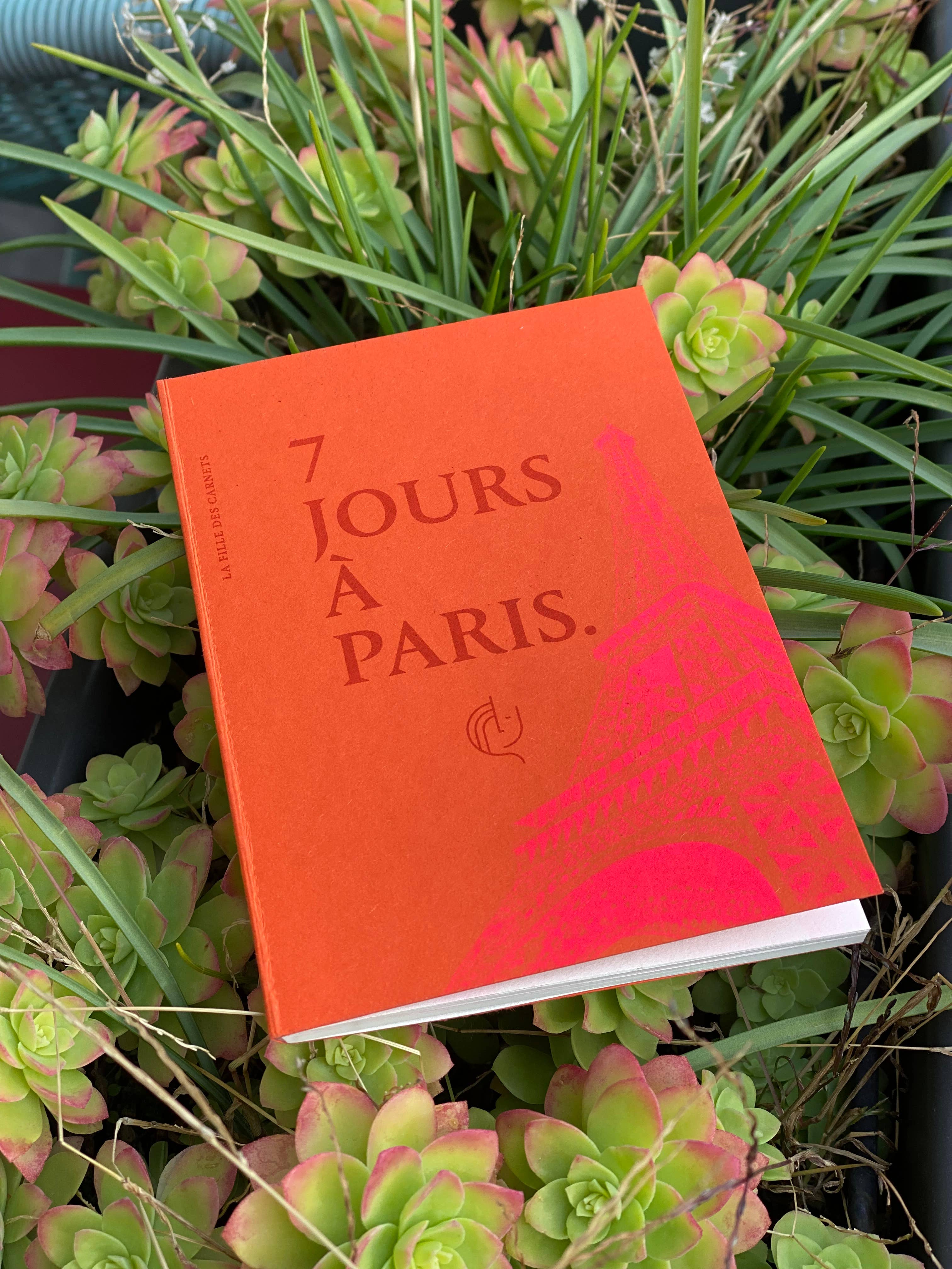La Fille des Carnets - Wholesale Journal/Diary - 7 Days in Paris - French Version