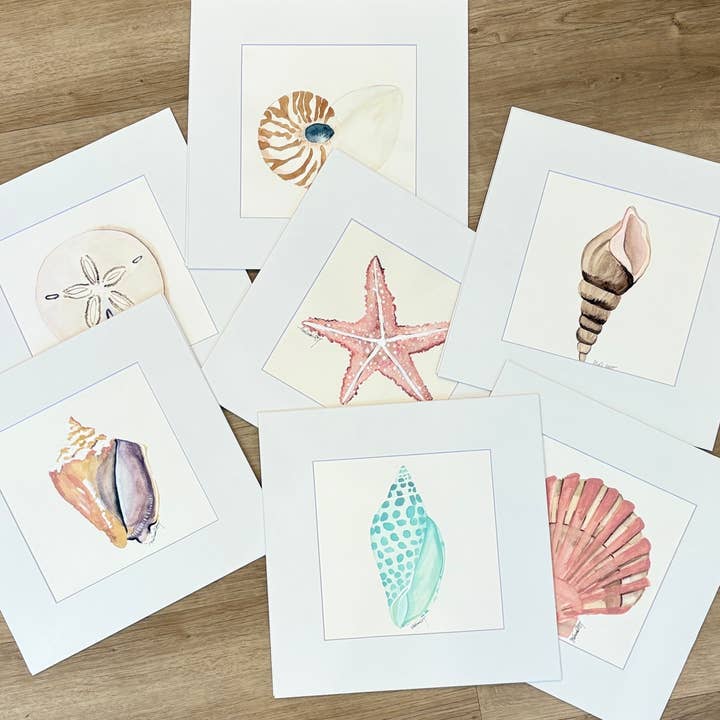 Conchiglie di Carta PACCHETTO, Acquerelli Costieri con Passepartout 30x30 cm per la vendita all'ingrosso da parte di Paper Shells Studio