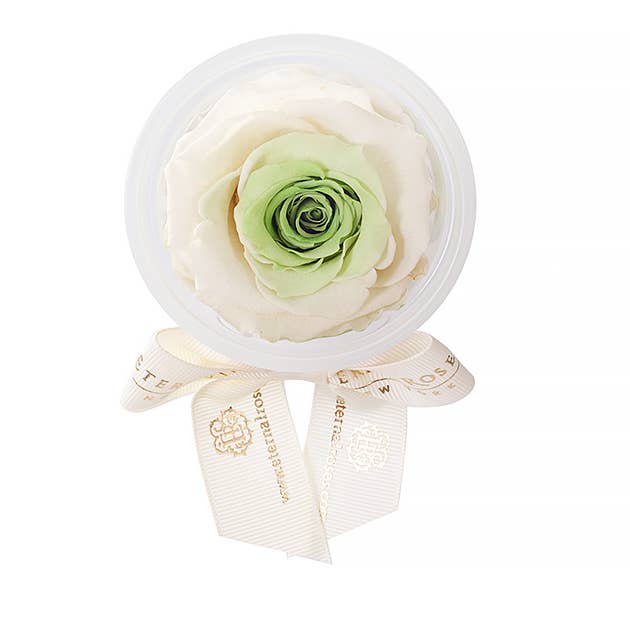 Eternal Roses® - Wholesale Party Favor - Eternal Rose Party Favors9