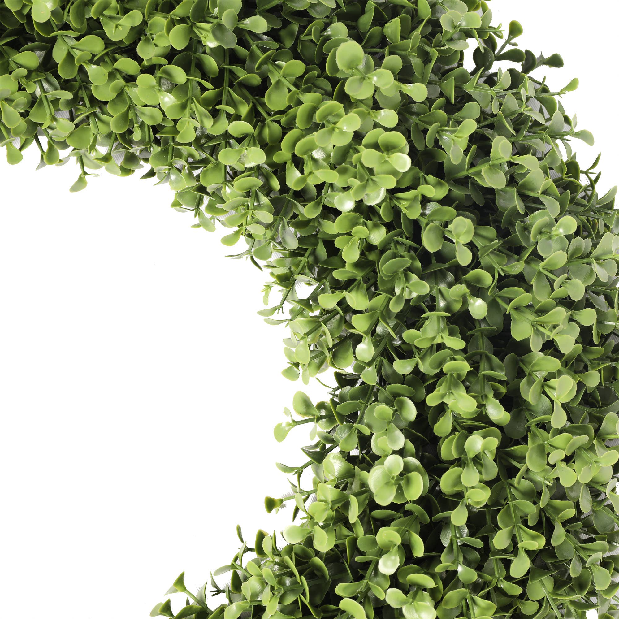 Mills Floral Company - Vente Couronne - Couronne Ronde de Buis UV 19 Pouces2