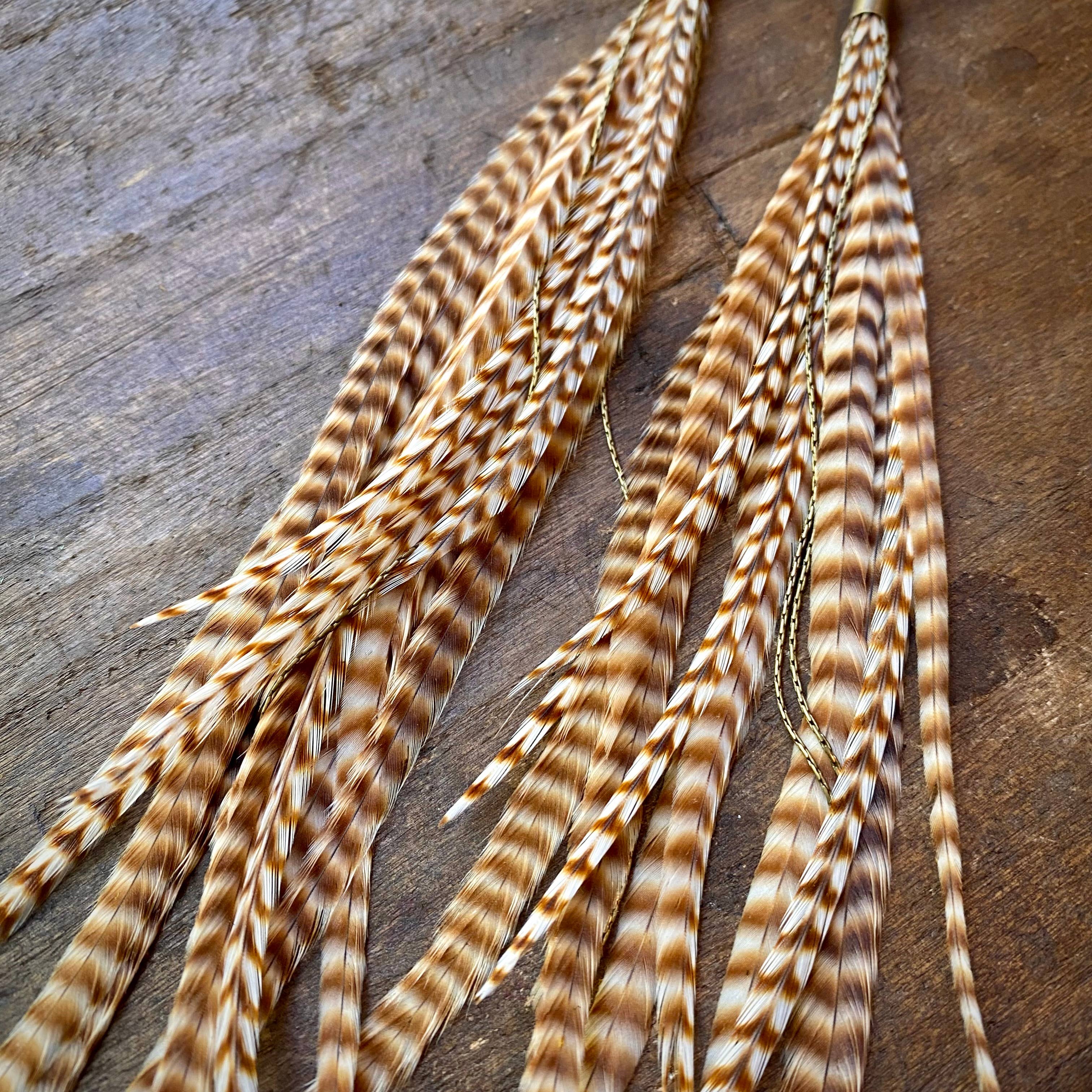 ASTALI - Venta al por mayor Pendientes de borla - Pendientes de plumas largas y turquesas, diseño Ginger Grizzly, estilo western4