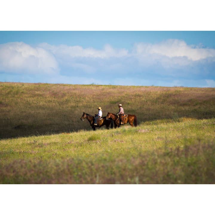 Primavera per la vendita all'ingrosso da parte di Laurie Childs Photography