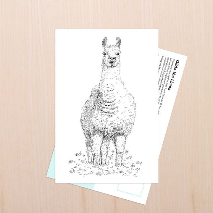 Llama Guard Art por atacado de Coy Ink Studio