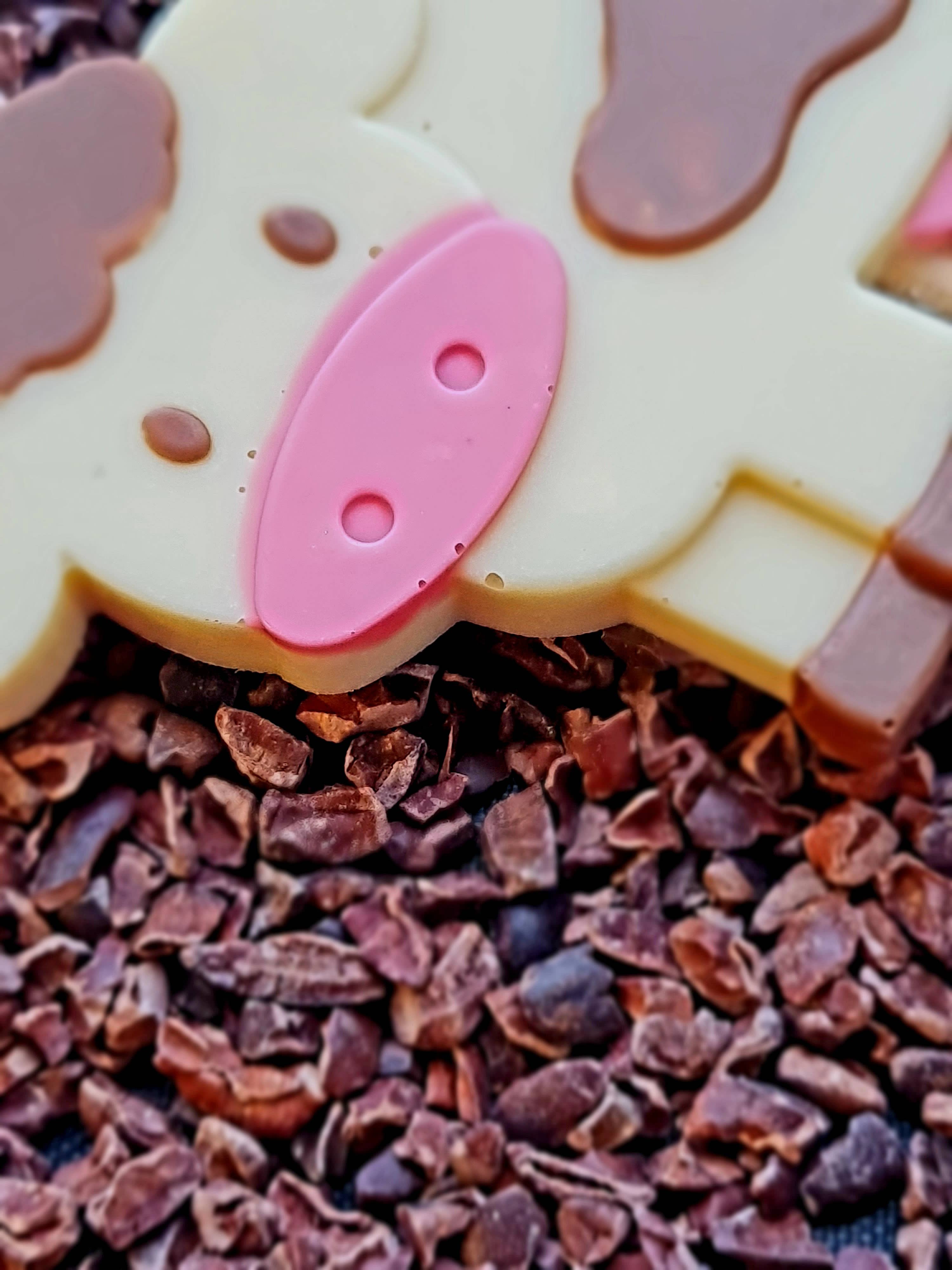 Cwtsh Chocolate - Wholesale Lollipop - Dotty cow chocolate lolly5