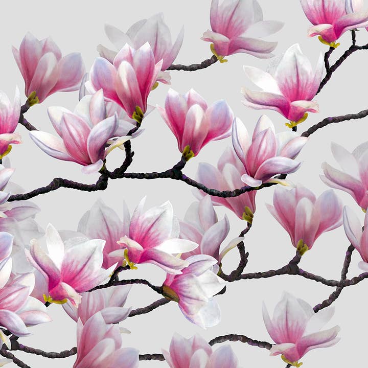 Vårhälsningar på gratulationskort för wholesale av Natural Partners Limited