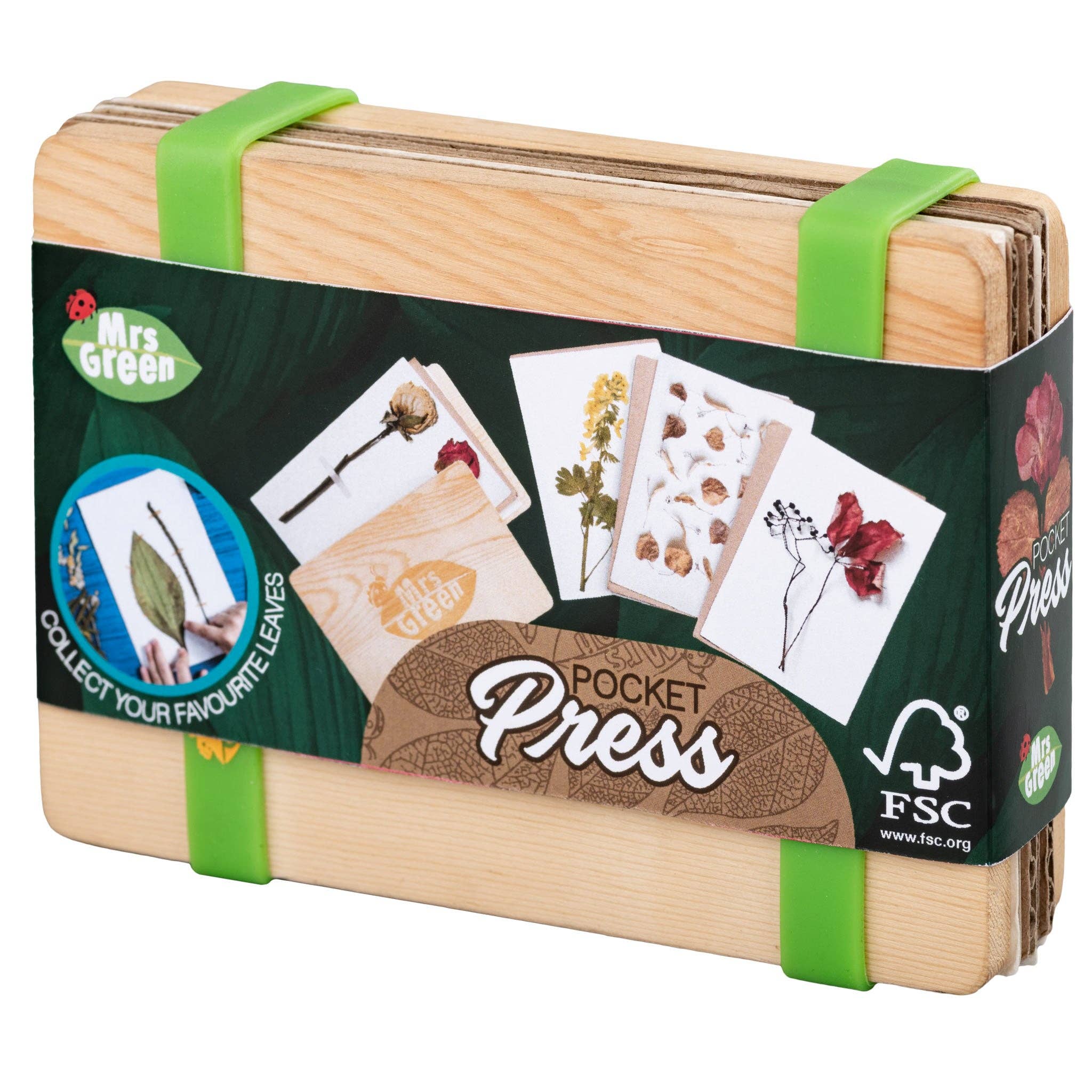 Heebie Jeebies USA - Wholesale Dried/Pressed Flowers - Flower Press Small8