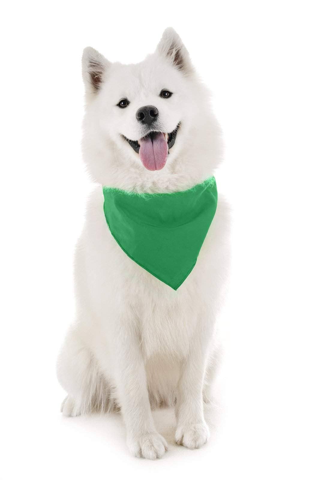 Auction Clearance - Vente Bandana – chien - Bandanas solides Balec pour chien, 4 pièces, écharpe et bavoir triangulaires pour tous les animaux de compagnie de petite, moyenne ou grande taille5