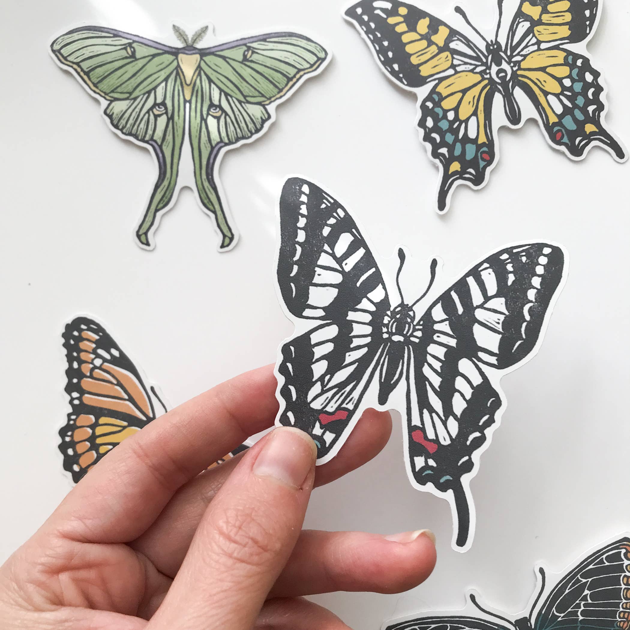 Root & Branch Paper Co. – Engroshandel Klistermærke – Zebra svalehale sommerfugl klistermærke1