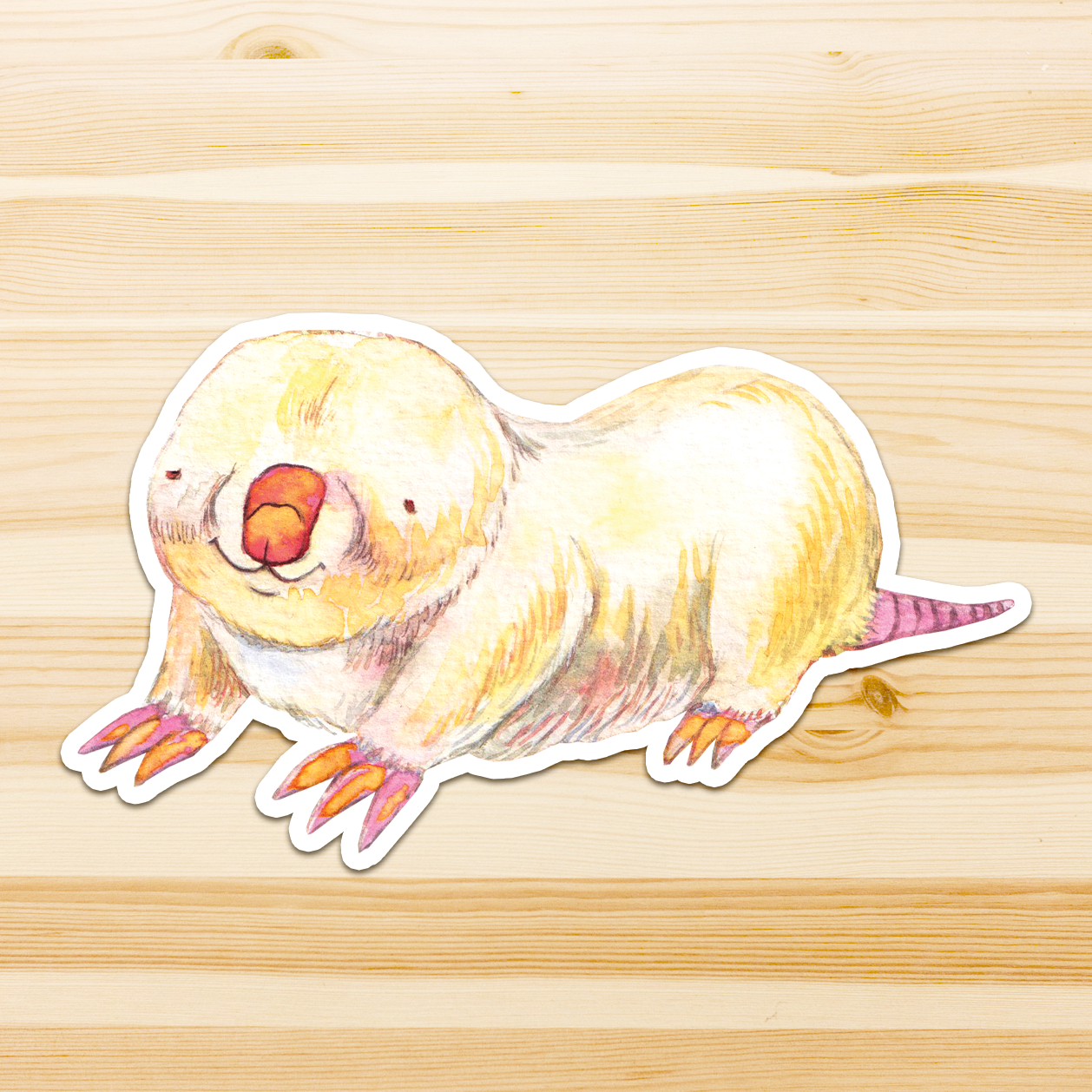 Watercolour By Cat - Wholesale Sticker - Large Australian Animal Vinyl Sticker5