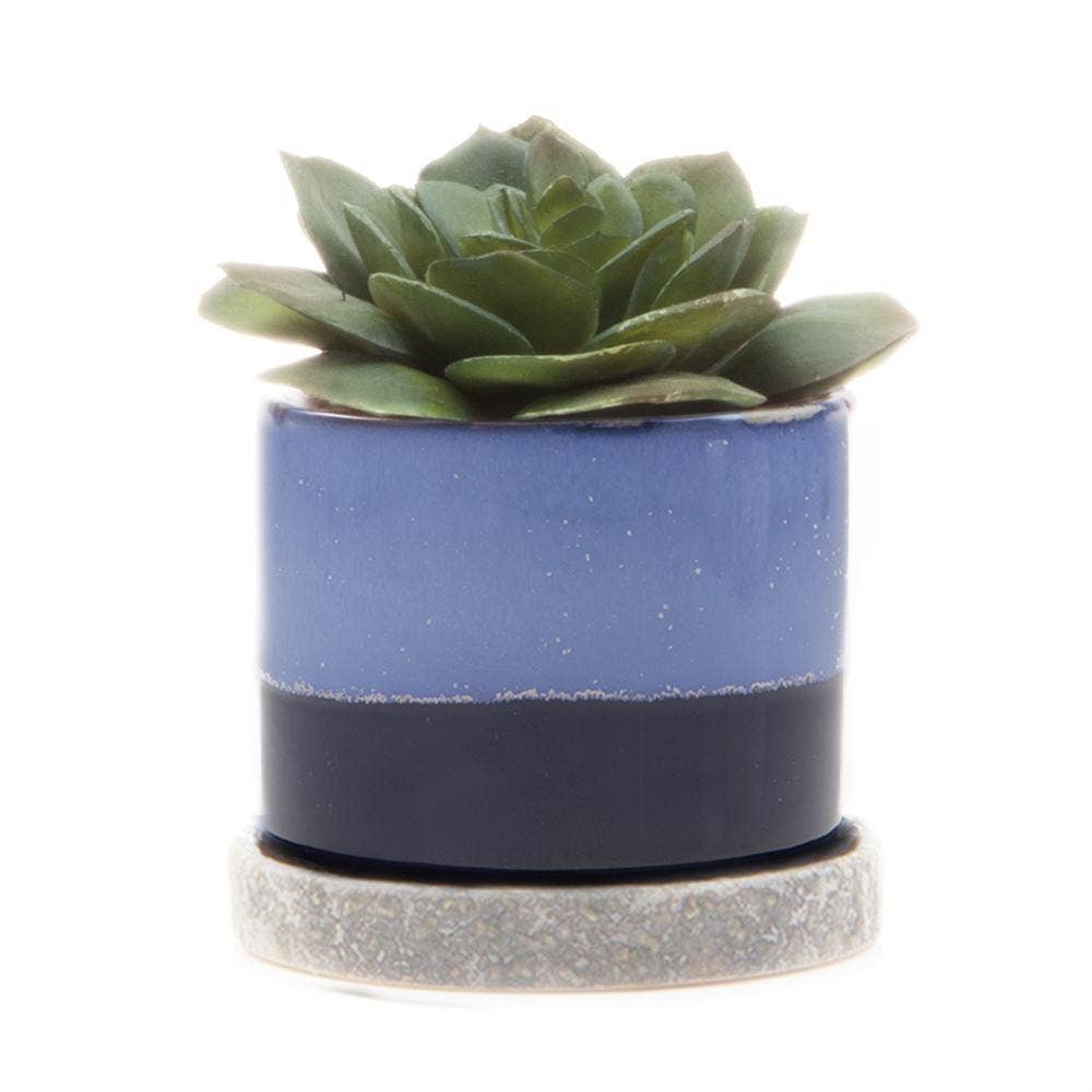 Chive UK - Wholesale Plant Pot - Minute - Glazed Modern Ceramic Pot with Saucer3