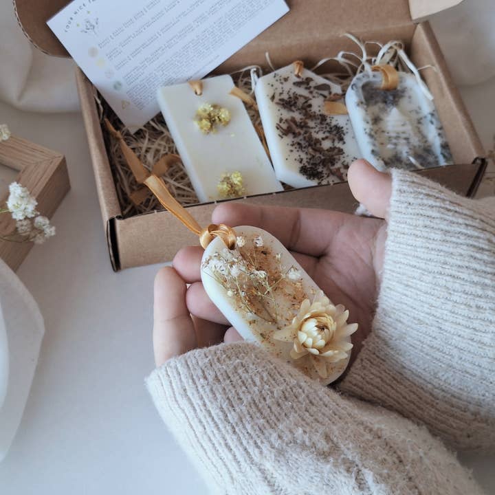 Pack de désodorisants solides - Barres de cire - Les Saisons - 4UNI pour la vente par Your Nice Things - Candles -