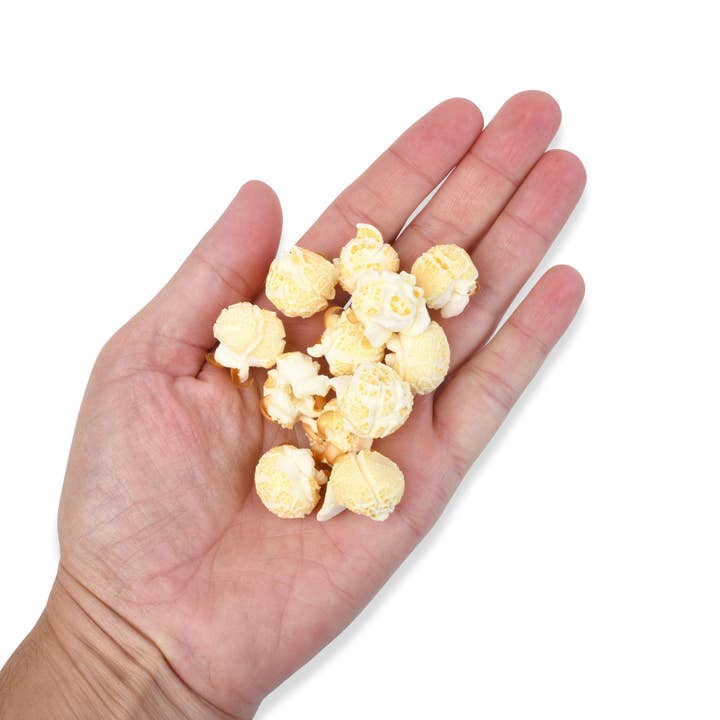 Princeton Popcorn Company, LLC - Vendita all'ingrosso Semi per popcorn - 6 libbre (confezione da 3 da 2 libbre) Chicchi di Popcorn a Fungo Princeton Popcorn Farmer Direct, Non-OGM, Senza Glutine, a Forma di Palla, Chicchi di Popcorn Extra Grandi, Olio per Popcorn da Fornello