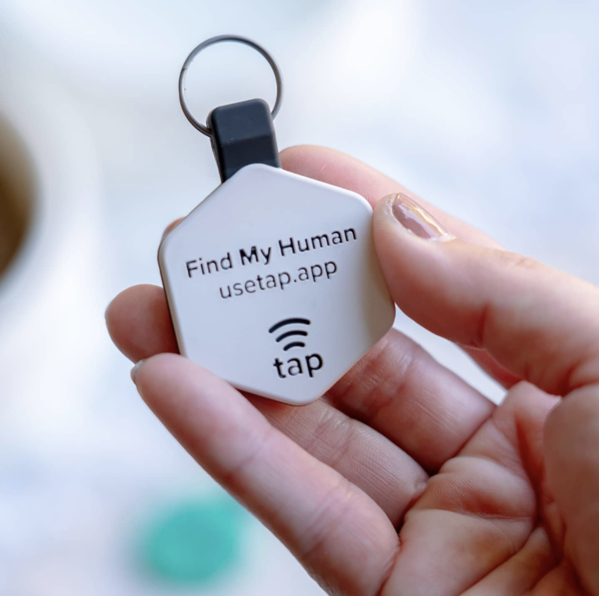 Lifekey - Wholesale Pet Identification Tag - Dog - Easy Green Fetch® Smart Pet Tag17