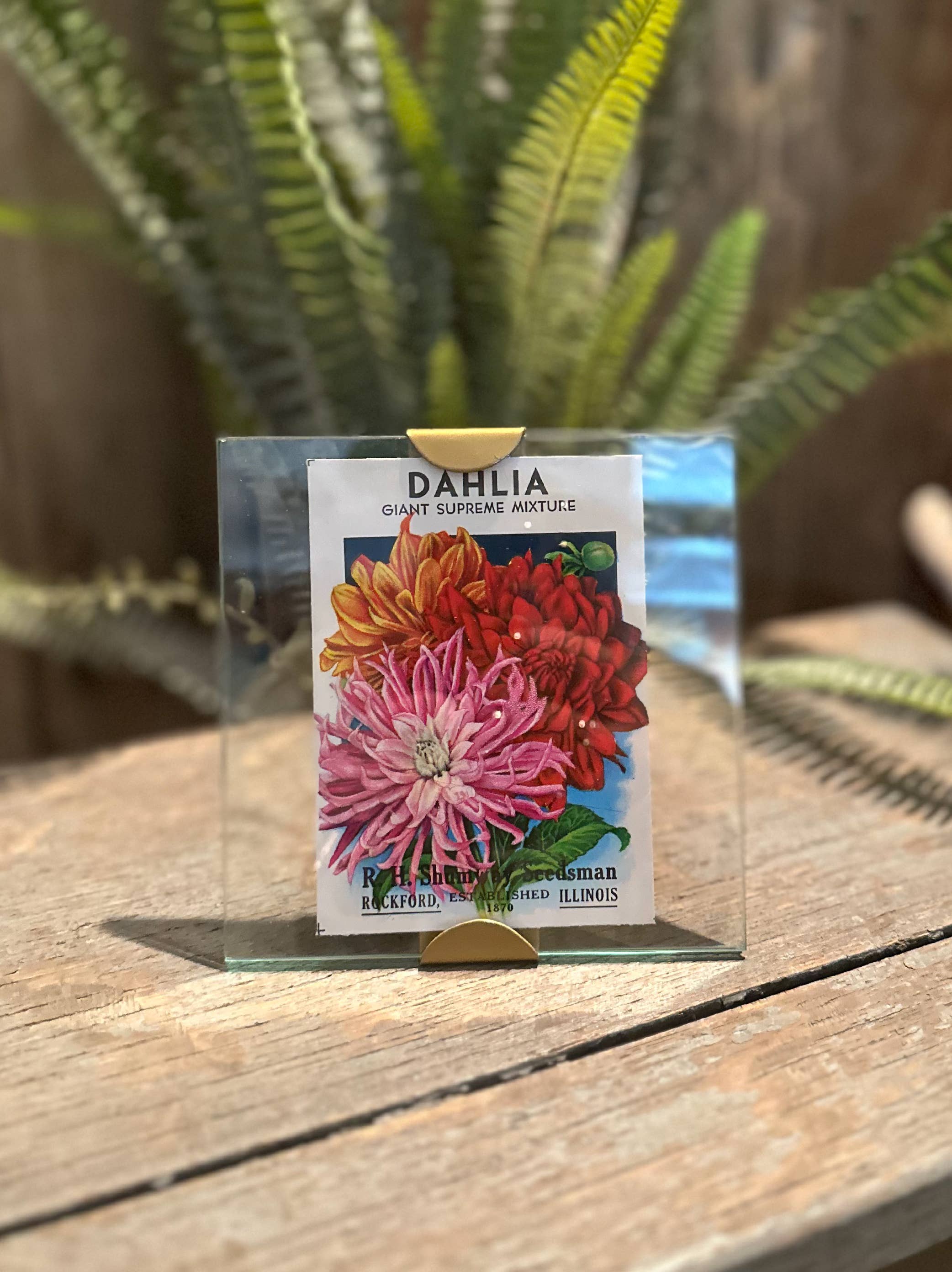 Made Market Co. – Großhandel Bilderrahmen – Rahmen 5X5 Scallop2