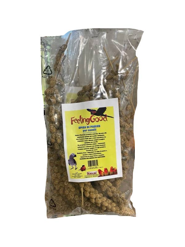 Ears of Panic 200 g for wholesale by Fantoni s.r.l.