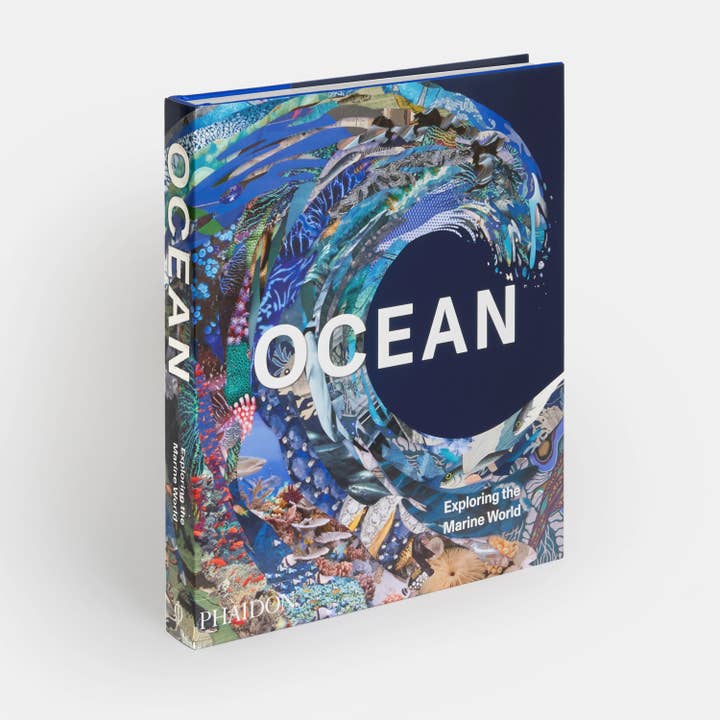Oceaan: de mariene wereld verkennen voor wholesale door Phaidon Press