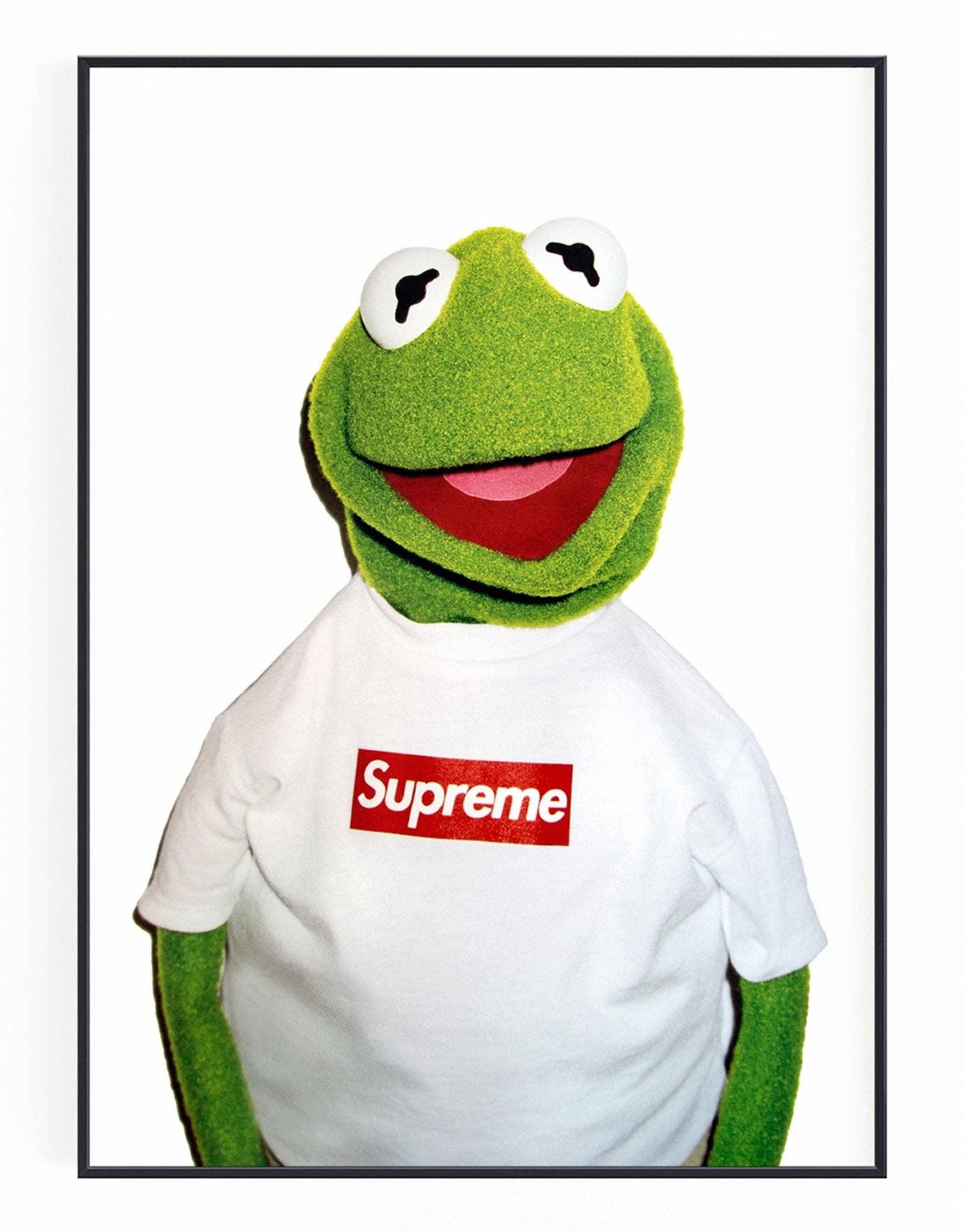 HYPED ART - Wholesale Art Print - Kermit the Frog Supreme Wall Art0