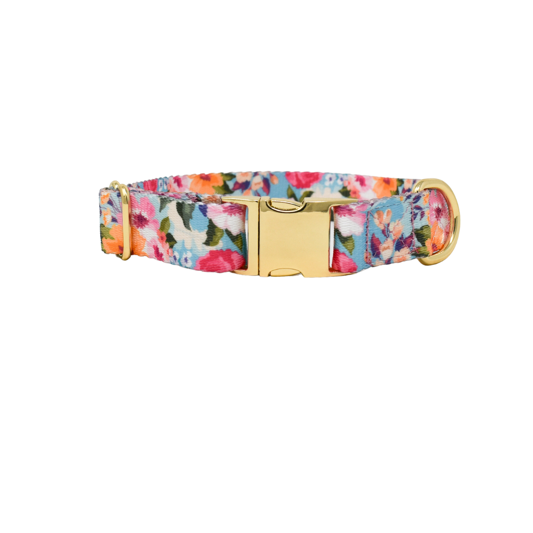 Pink Papyrus | Premium, Durable, & Stylish Dog Products - Wholesale Pet Collar - Dog - Emery Dog Collar | Floral Dog Collar | Dog Collar1