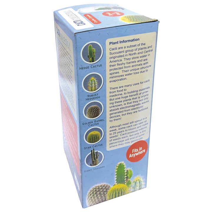 Silver Circle Products - Wholesale Terrarium - Cacti Collection Carefree Capsule Glass Terrarium