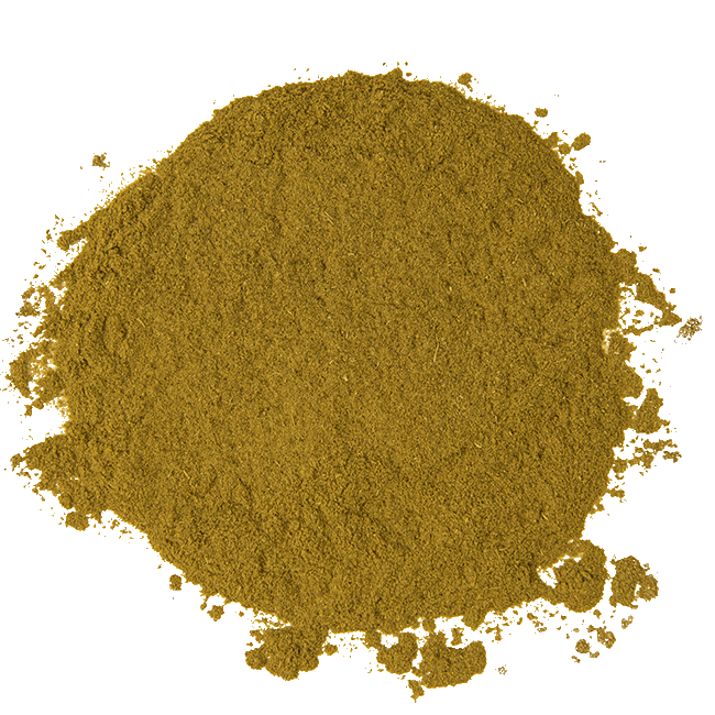 JS1599 - Vente Épices séchées - Poudre de cannelle de Ceylan2