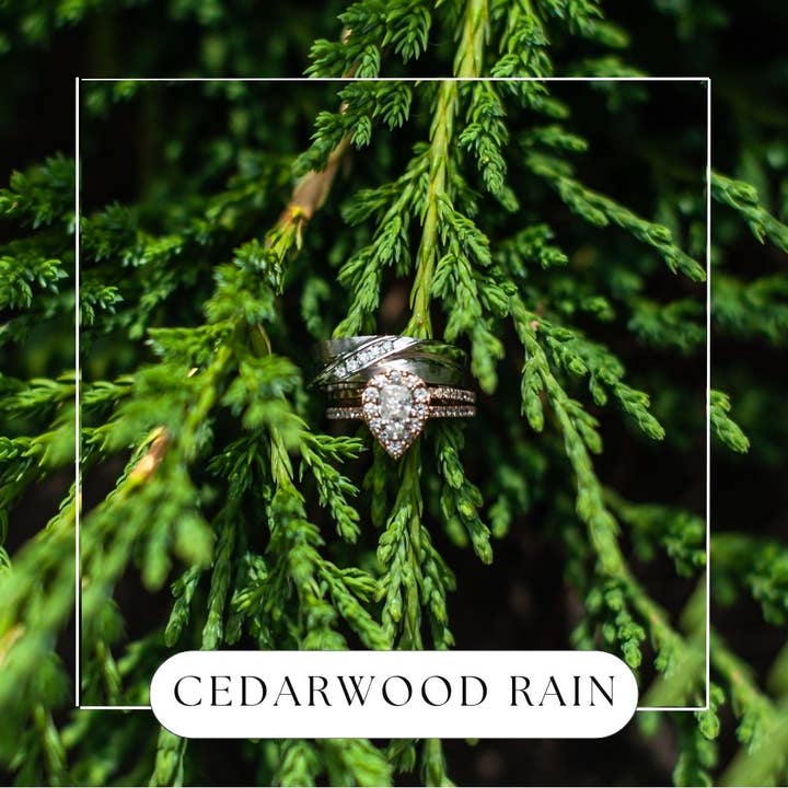 Cedarwood Rain Hanging Reed Diffuser for wholesale by Made by Charlee