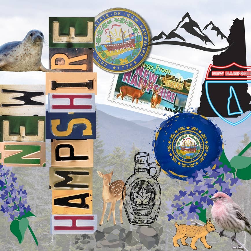 Imprintsink – wholesale Isolerade dryckesvaror – New Hampshire Tumbler1