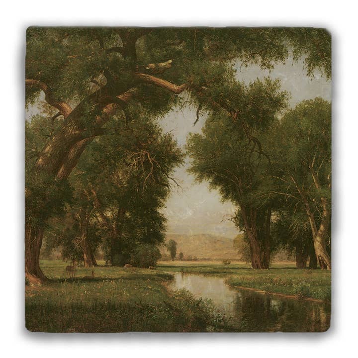 Sous-verre en pierre roulée « Sur la rivière Cache La Poudre » pour la vente par Nelson Gifts Wholesale