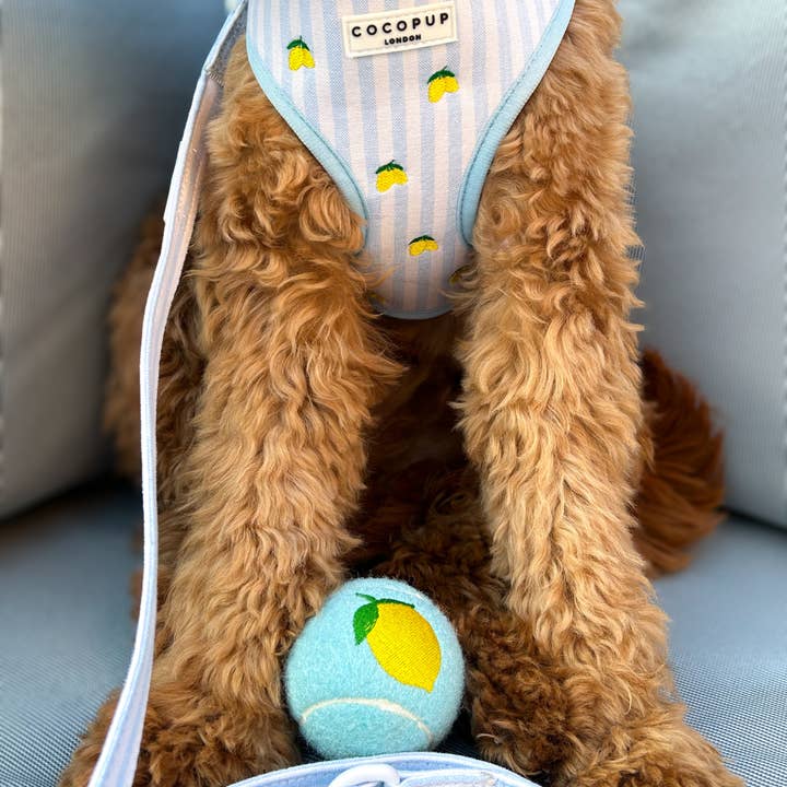 Cocopup London - Wholesale Pet Fetch Ball - Dog - Embroidered Tennis Ball - Lemon4