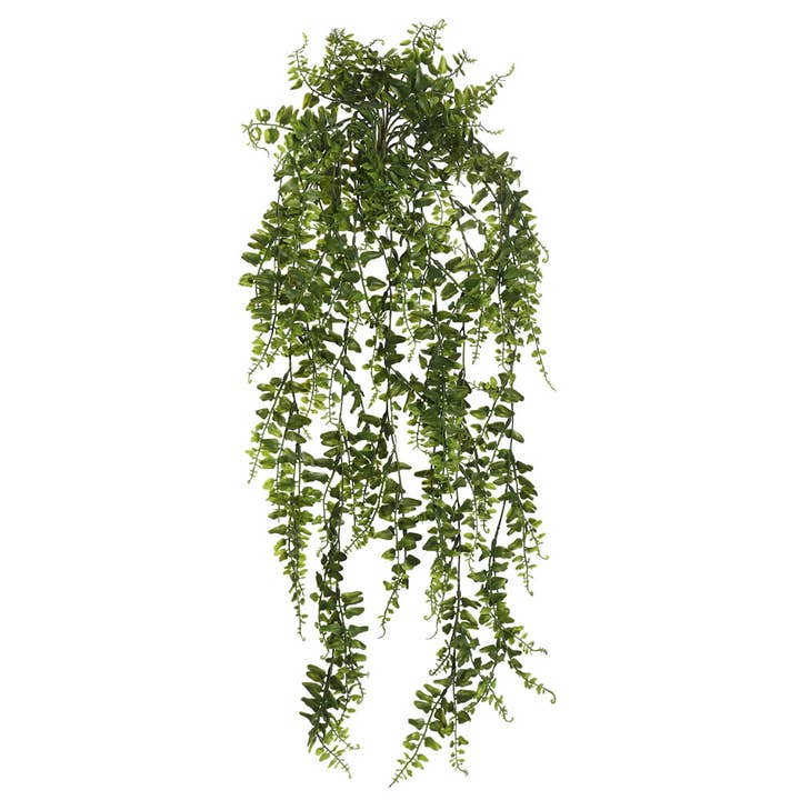 Vickerman 30" Vigne verte de fougère Bucler pour la vente par Vickerman