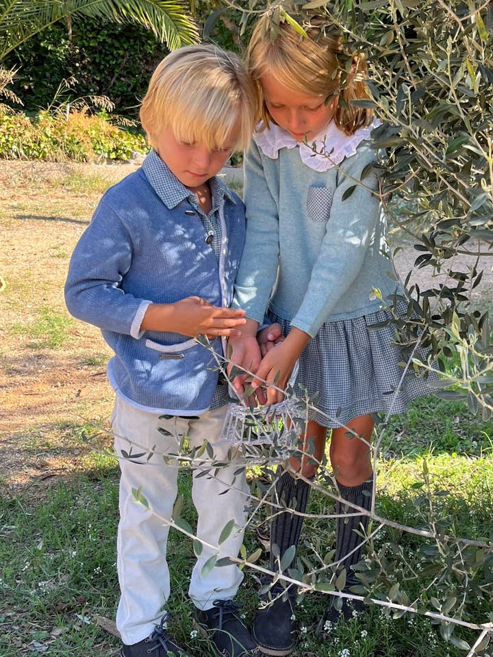 BLÅPÄRLA ZIPLINE för wholesale av Al Agua Patos