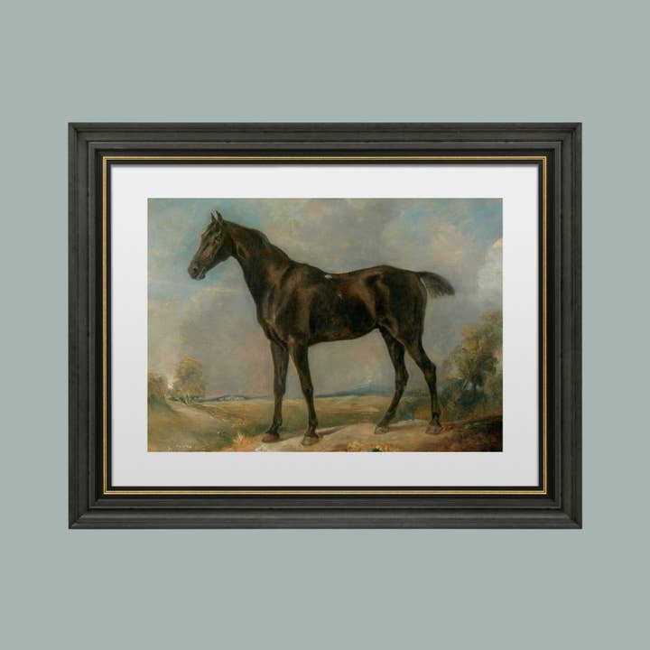 Sea to Skye - Wholesale Art Print - Black Riding Horse Antique Art Print5