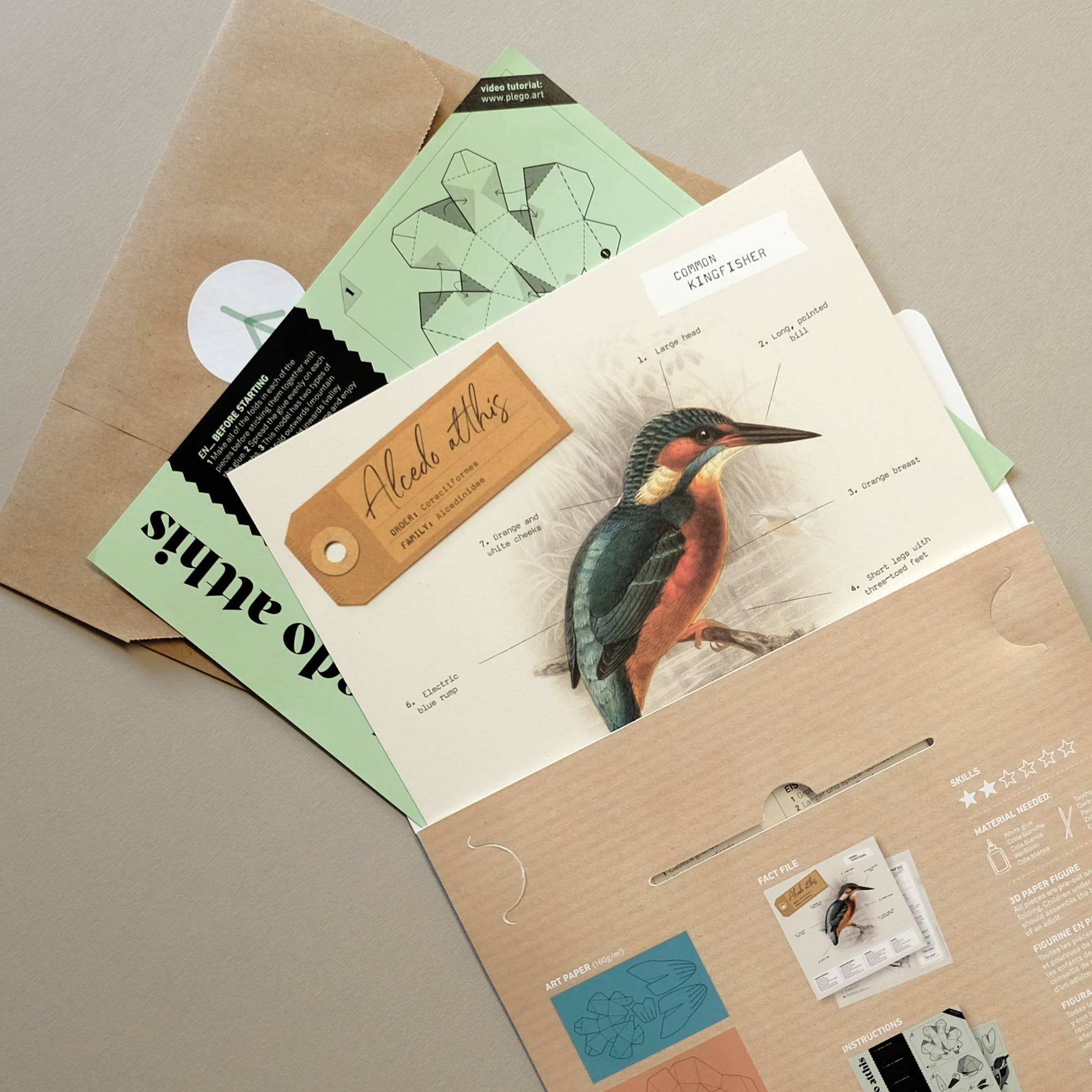 PLEGO - Vente Kit de bricolage - ALCEDO ATTHIS - oiseau en papier2