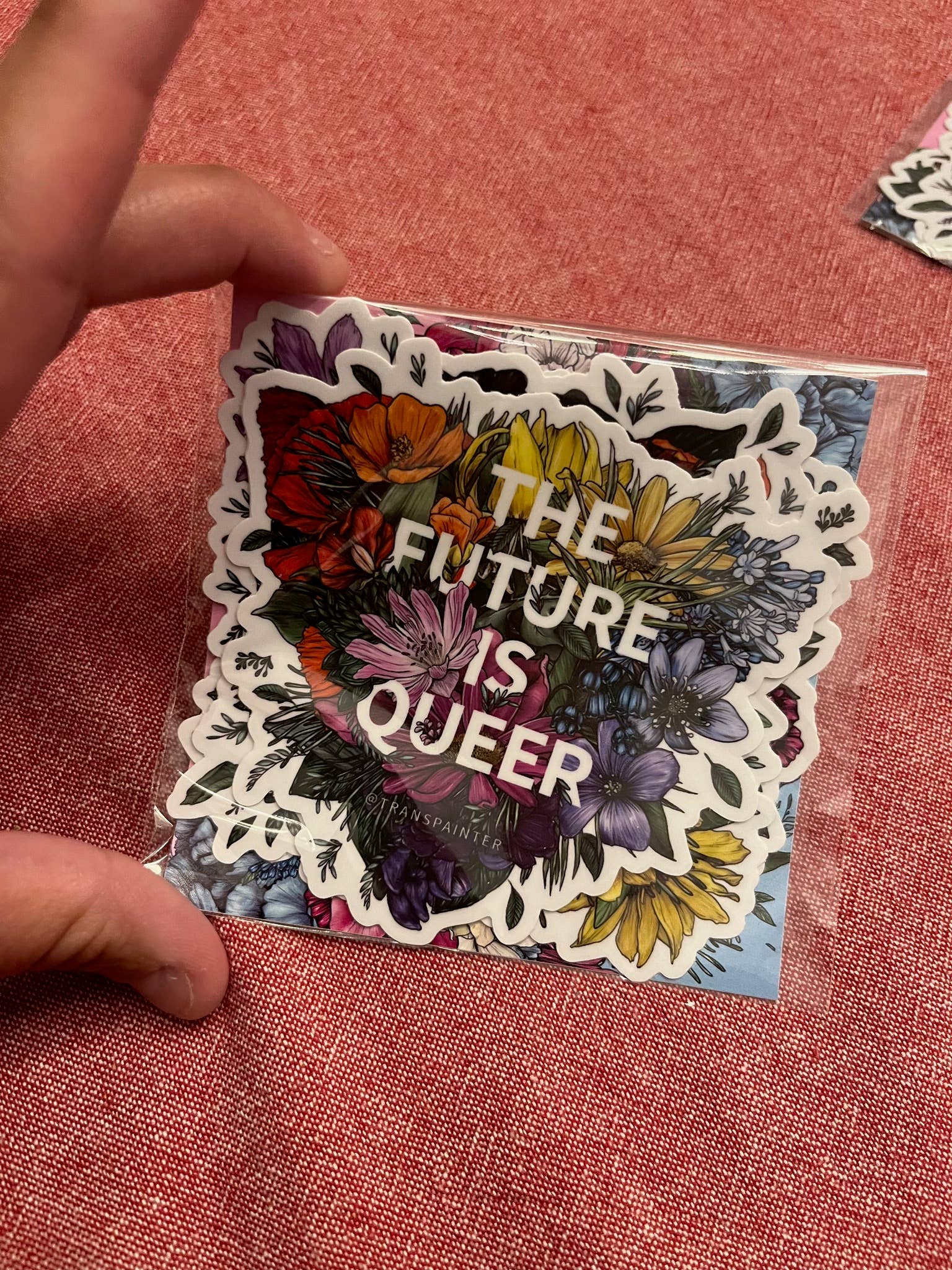 Transpainter - Wholesale Sticker - The Future is Queer Sticker Pack | Queer Stickers | LGBTQ+ 12