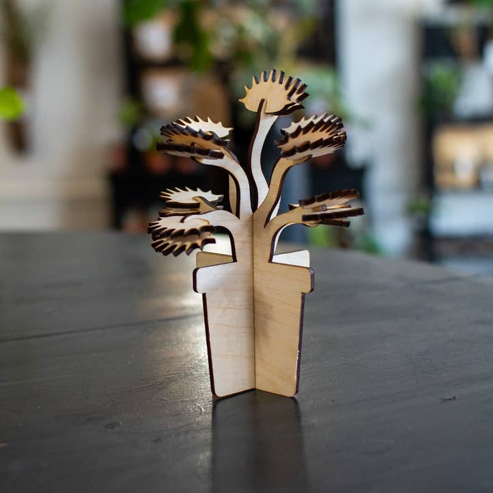 Still Magnolia - Venta al por mayor Kit de manualidades - Construye una planta - Venus Fly Trap