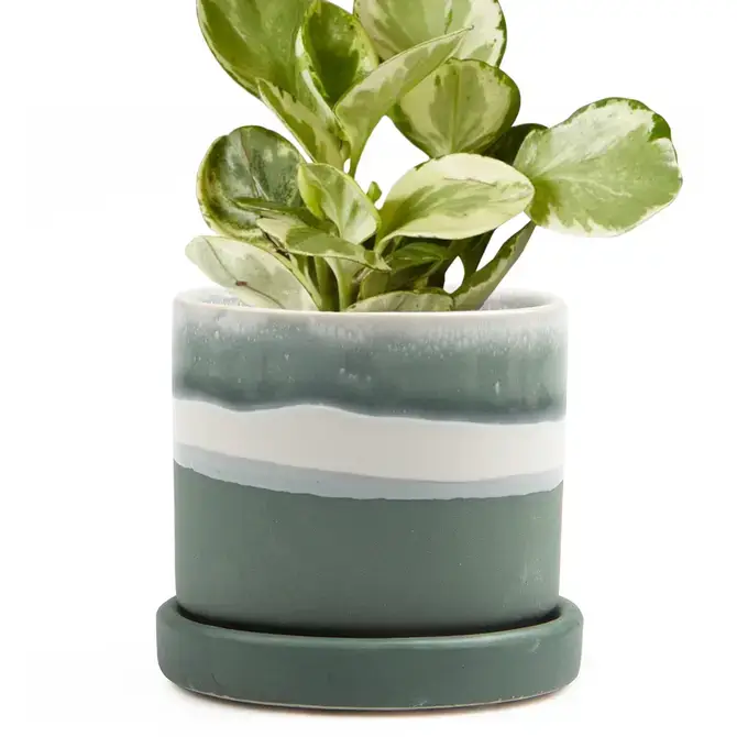Chive UK - Wholesale Plant Pot - Minute - Glazed Modern Ceramic Pot with Saucer22