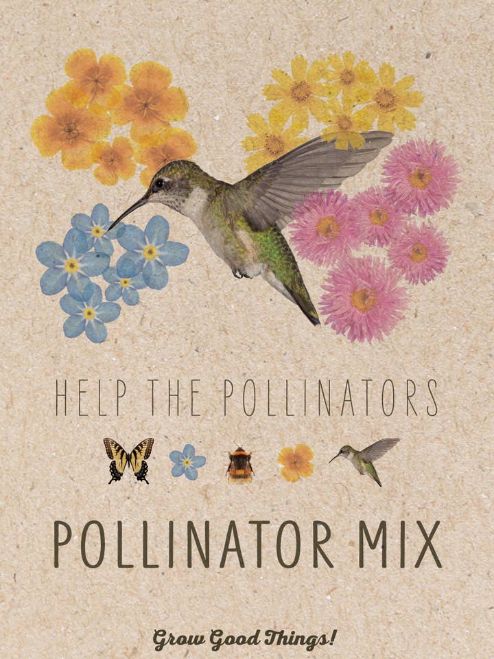 Pollinator Hummingbird - Wildflower Mix Seed Packets for wholesale by Bentley Seed Co.