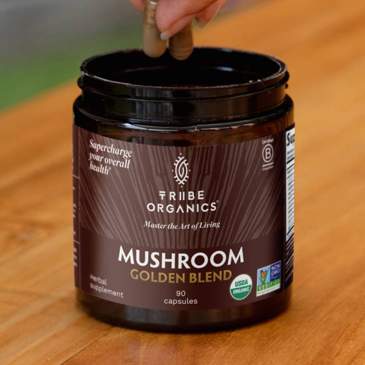 Mushroom Golden Blend for wholesale by Tribe Organics
