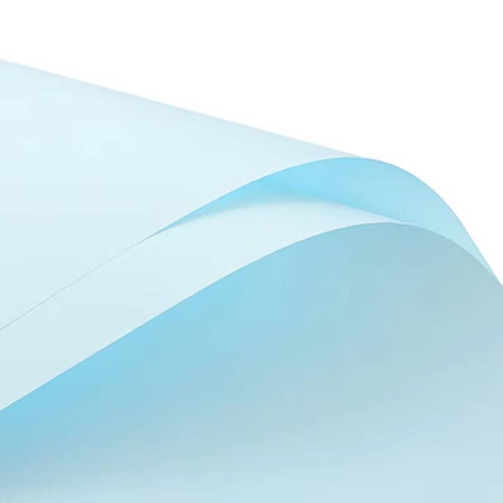 Elegant Design Supply - Wholesale Wrapping Paper Roll - Solid Color Korean Inspired Flower Wrapping Paper (20pcs/bag)25